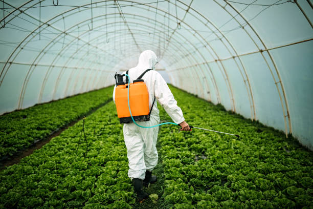Best Affordable Pest Control Services  in Heritage Lake, IN