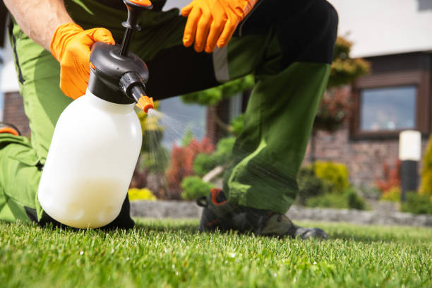 Best Residential Pest Control  in Heritage Lake, IN