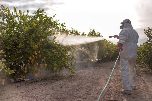 Best Best Pest Control Companies  in Heritage Lake, IN