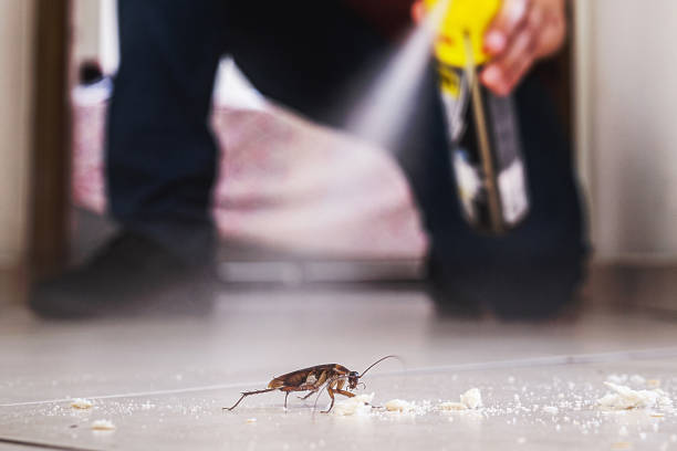 Best Pest Prevention Services  in Heritage Lake, IN