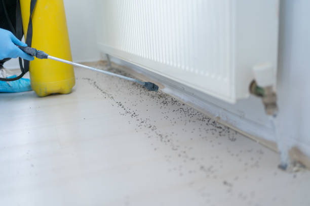 Best Ant Control Services  in Heritage Lake, IN