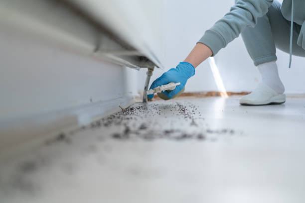 Pest Prevention Services in Heritage Lake, IN