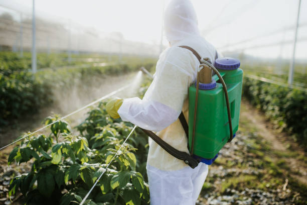 Best Cockroach Control Services  in Heritage Lake, IN